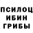 Псилоцибиновые грибы мухоморы Anastasia Stlpwsk