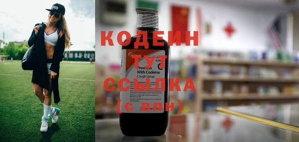 амф Дмитров