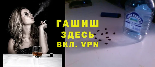 твердый Бердск