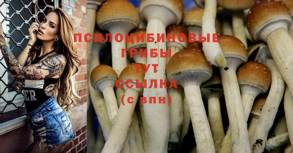 герыч Дмитриев